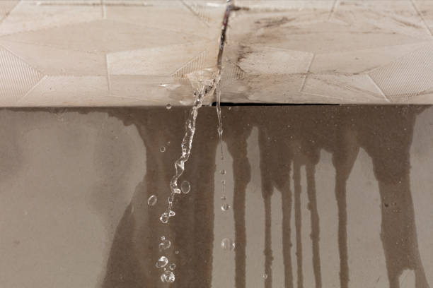 Professional Water Extraction technician working in Quincy, CA